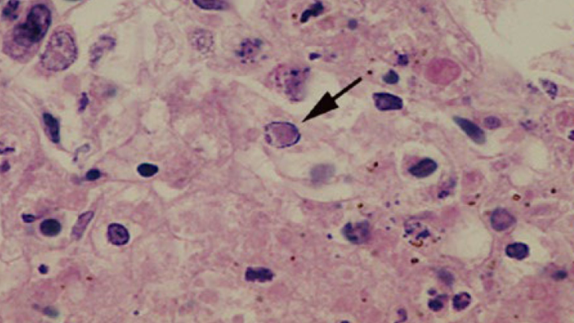 diseño sin título (26)