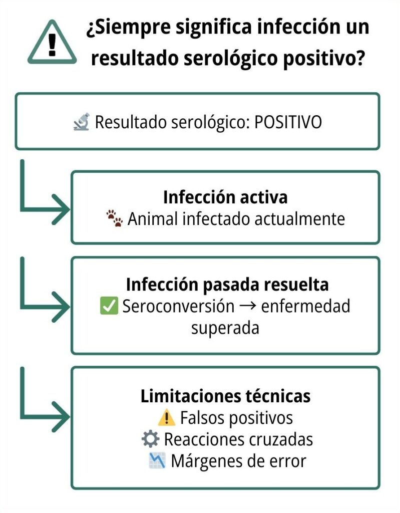 diseño sin título (28) diseño sin título (28)