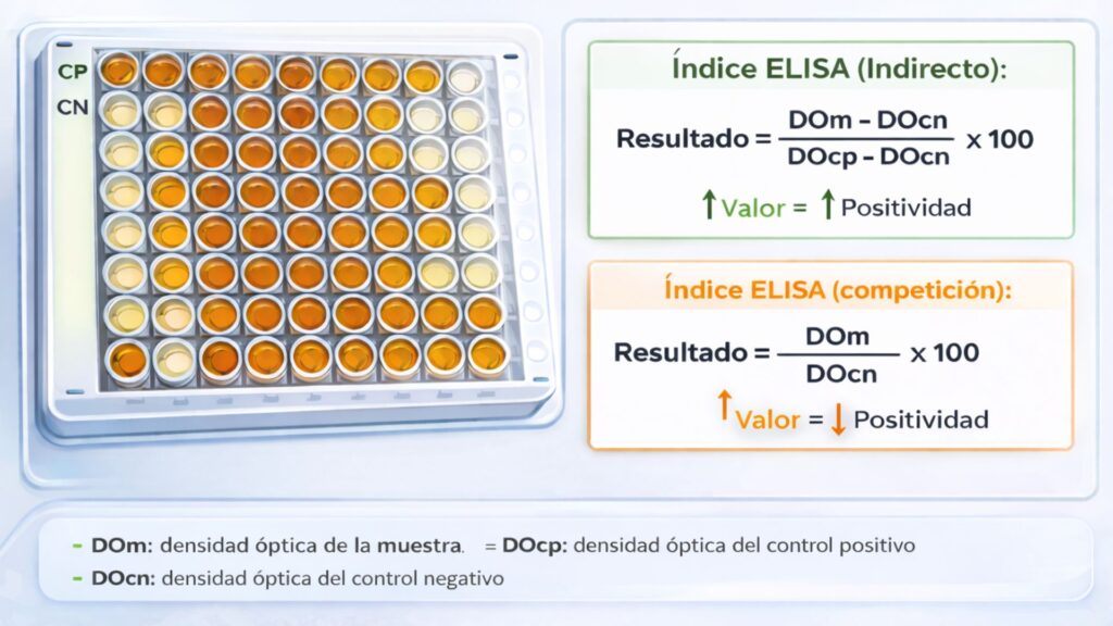 imagen destacada (2) imagen destacada (2)