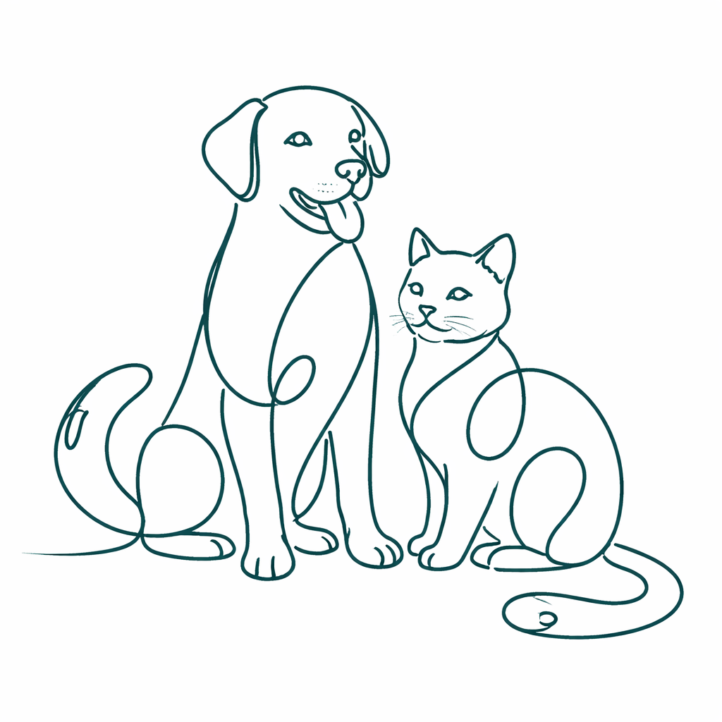 chatgpt image 16 feb 2026, 13 17 24