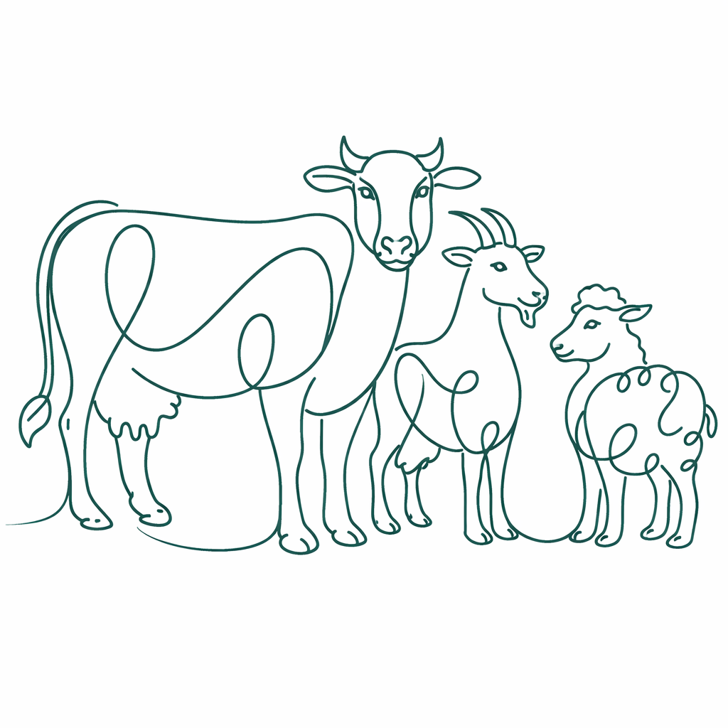 chatgpt image 16 feb 2026, 13 20 50