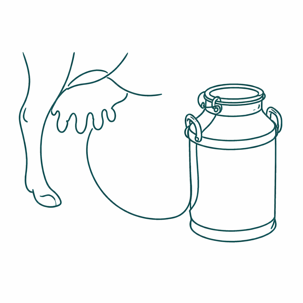 chatgpt image 16 feb 2026, 13 23 17