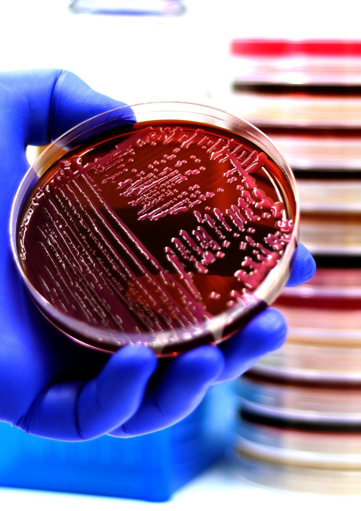 diseño sin título (11) diseño sin título (11)