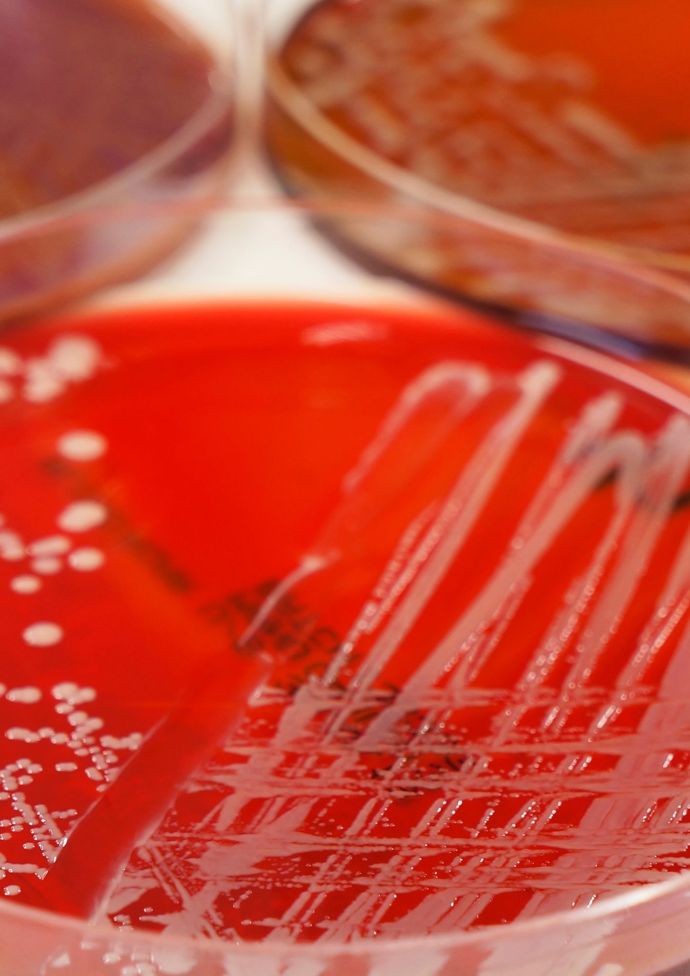 diseño sin título (20) diseño sin título (20)