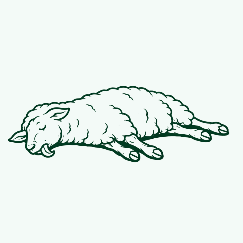 diseño sin título (31)