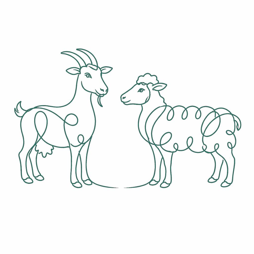 cabra oveja linea 2d7365
