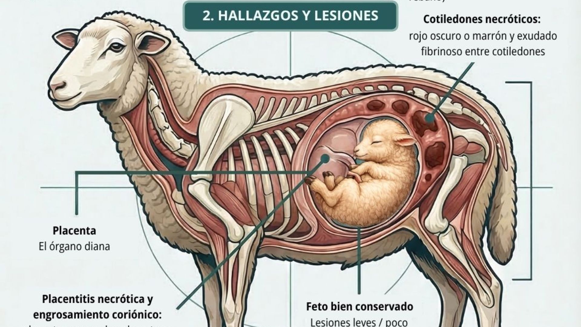 imagen destacada (8)