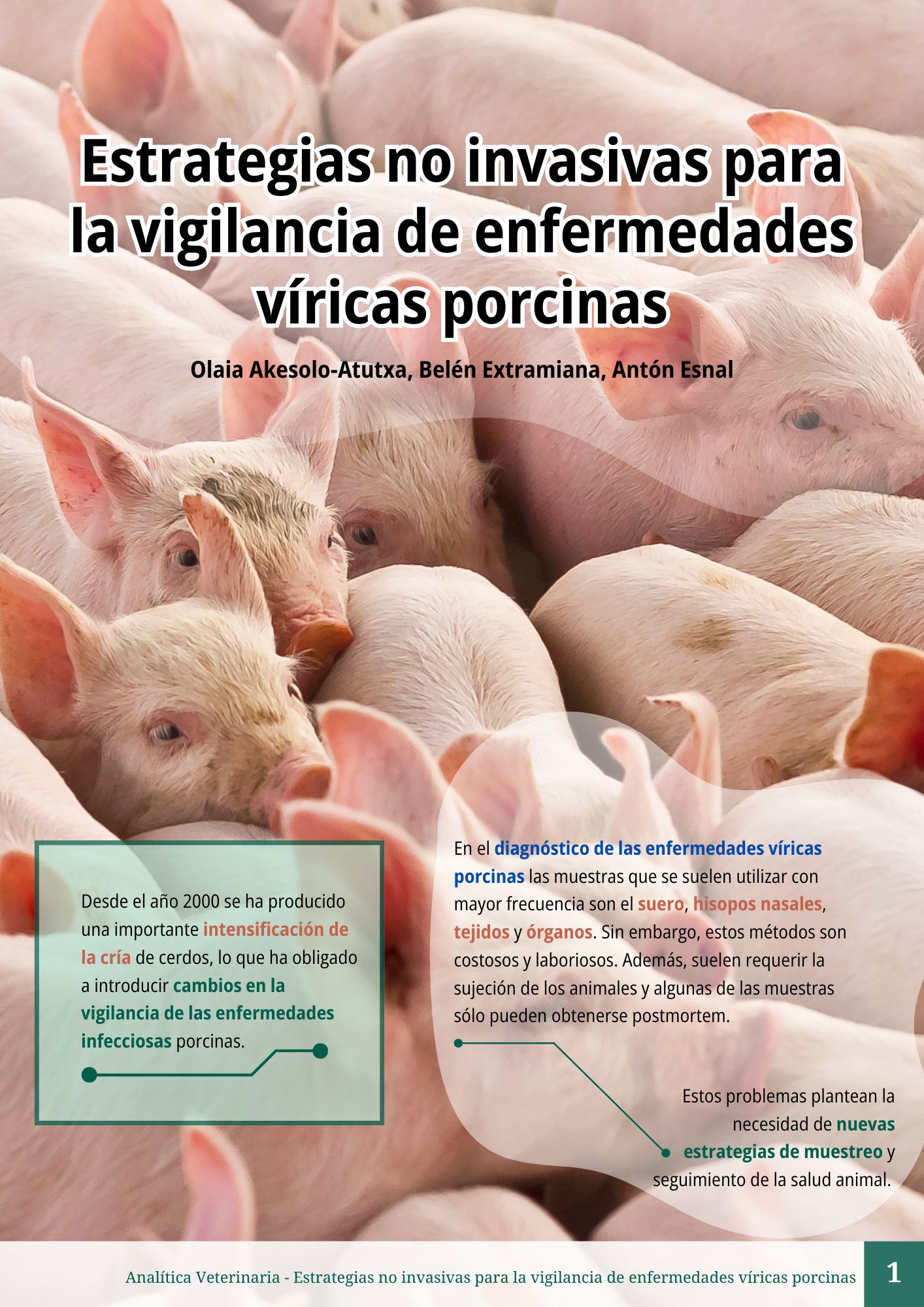 Vigilancia no invasiva en porcino 1