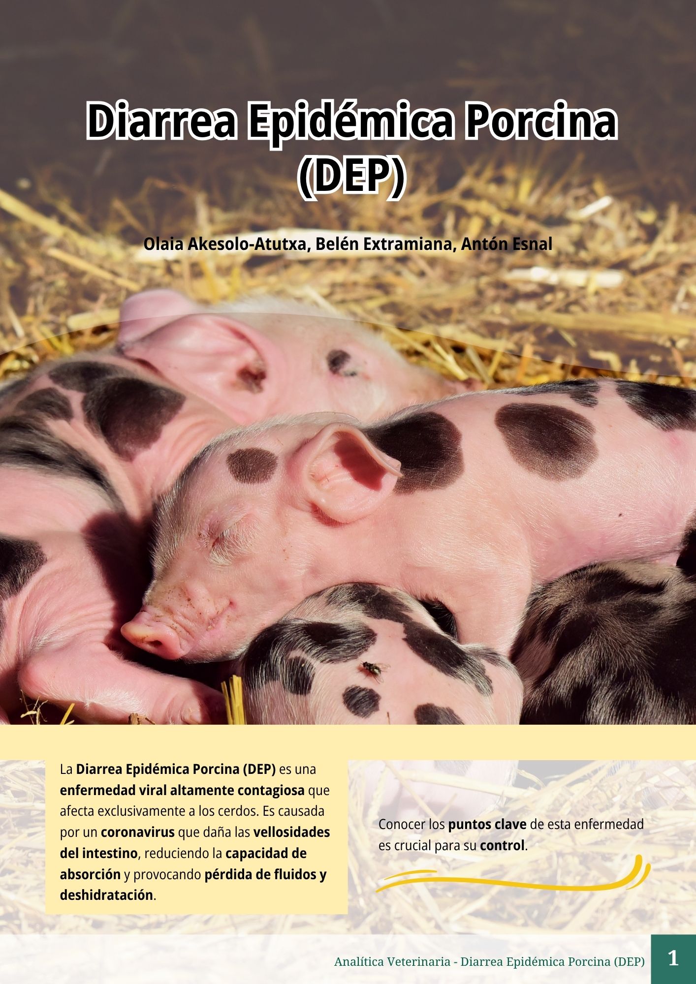 Diarrea Epidémica Porcina (DEP) 1