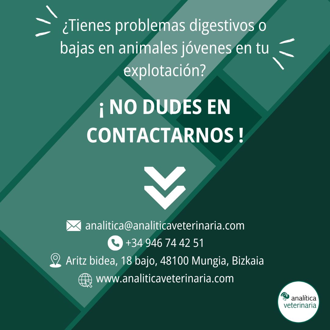 Onfalitis y enteritis hemorrágica 10