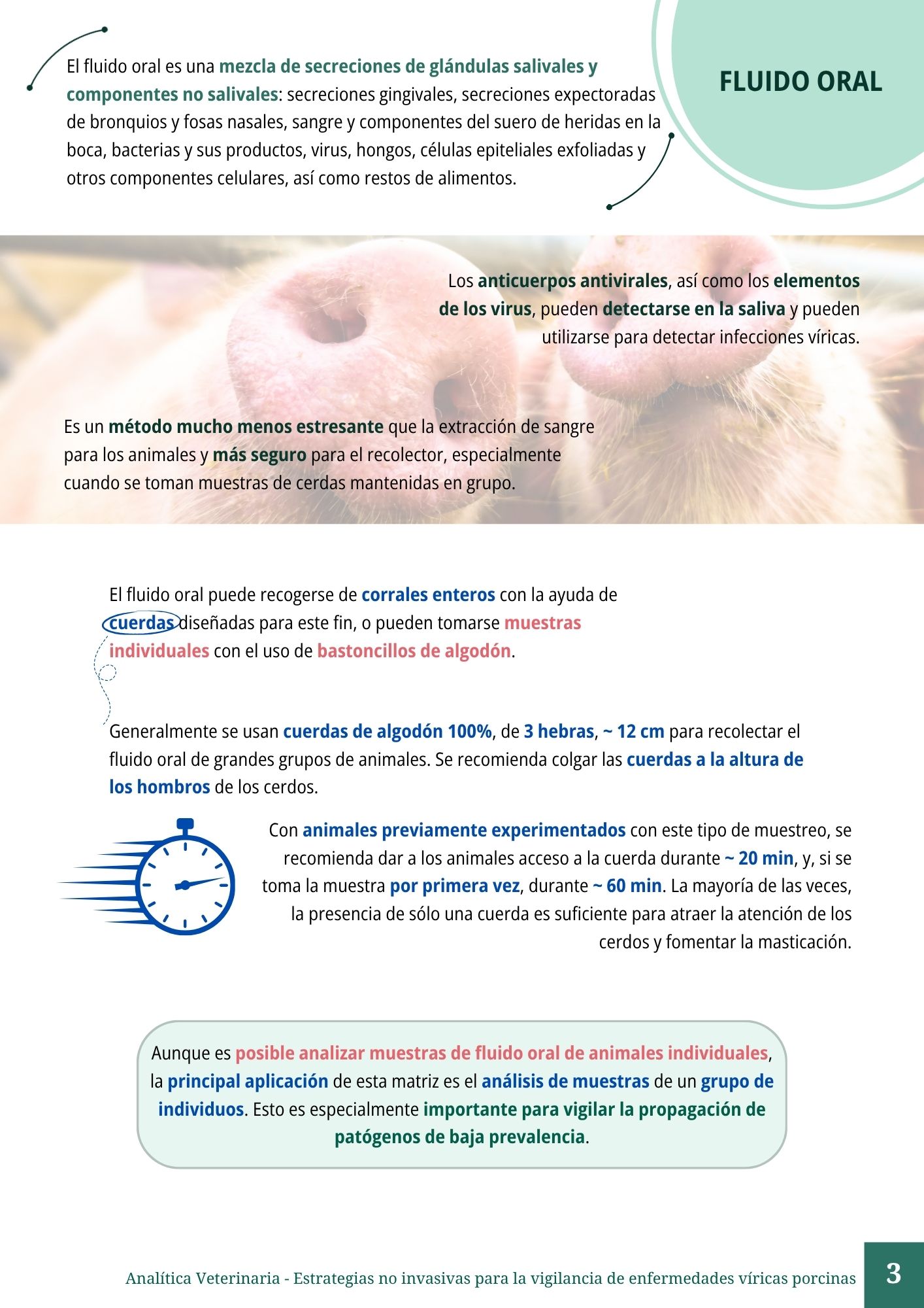 Vigilancia no invasiva en porcino 3