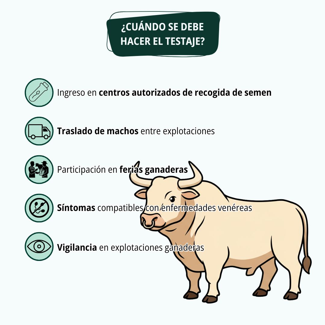 Testaje de sementales 3
