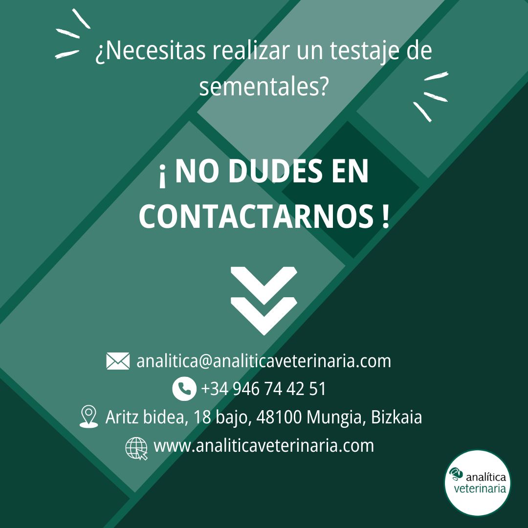 Testaje de sementales 7