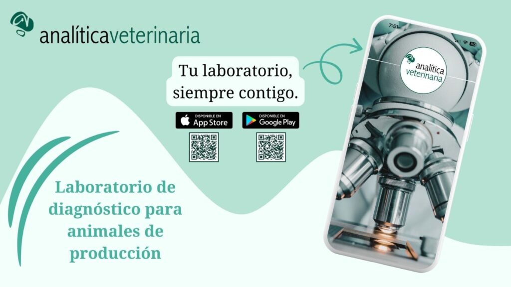 imagen destacada (13)