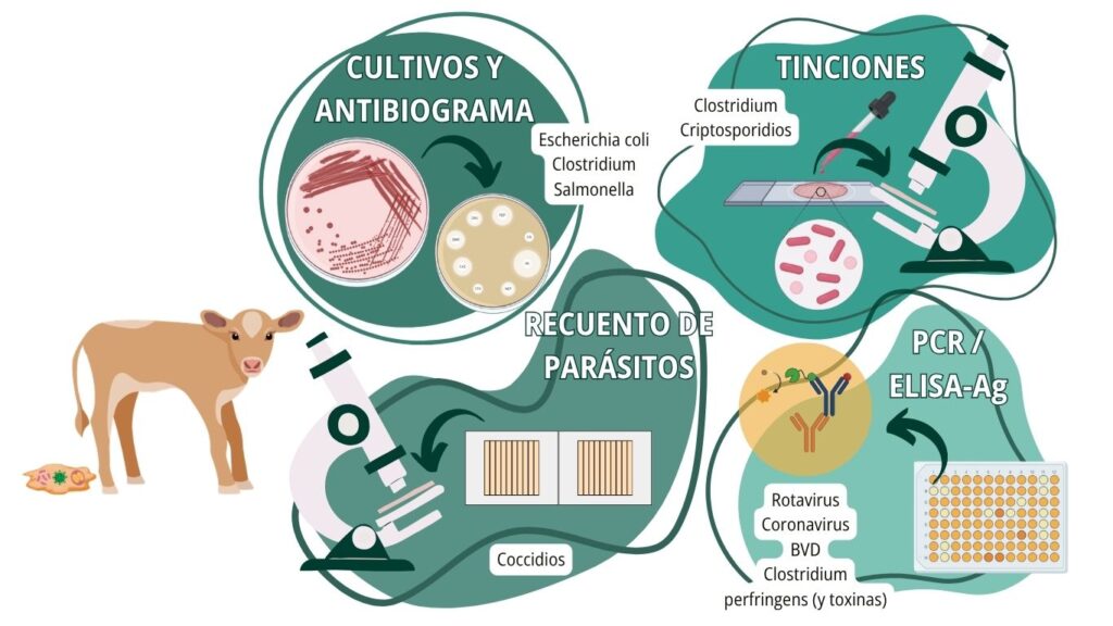 imagen destacada (13)